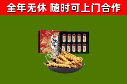 峨眉山市烟酒回收冬虫夏草礼盒.jpg