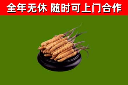 峨眉山市烟酒回收冬虫夏草.jpg