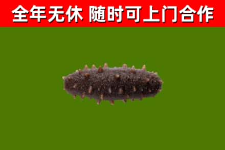 峨眉山市烟酒回收干海参.jpg